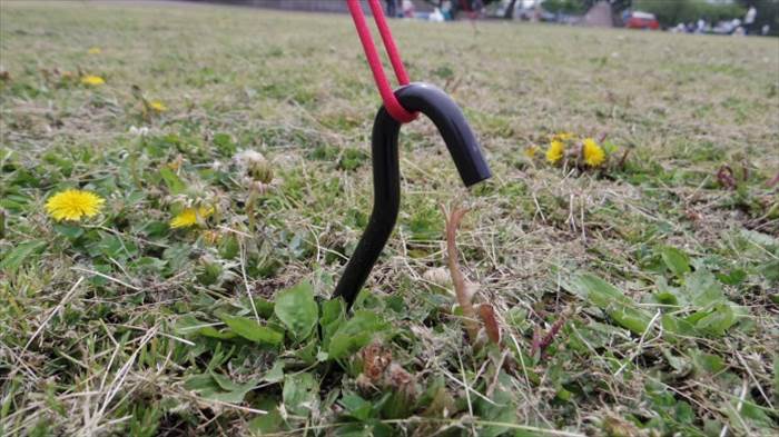 モチヅキ　シェルターステイク